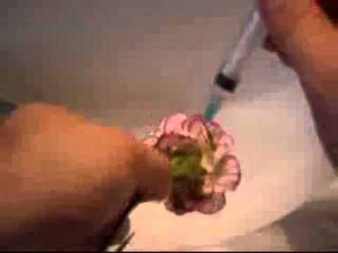 Spas u zadnji čas: Kako napraviti najjeftiniji poklon za Dan žena