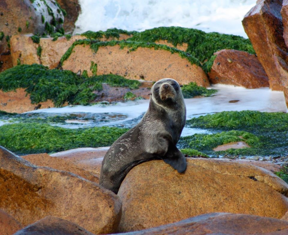 E, može, tu me fotkaj, taman za kalendar