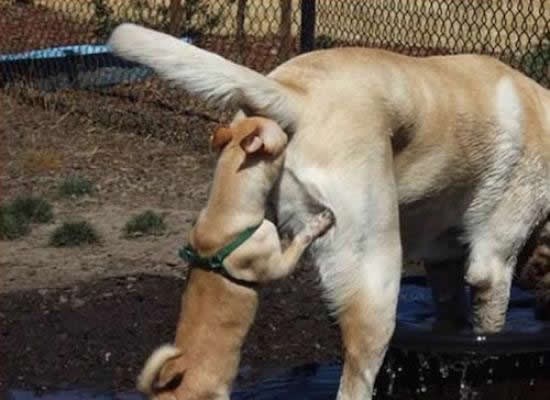 Ne guraj nos kamo ne treba!