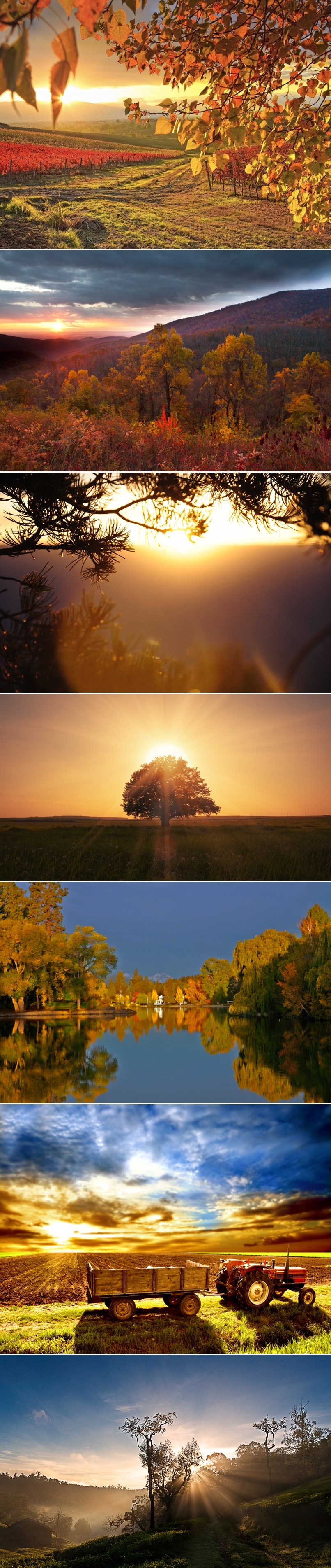 GALERIJA: Čarolija buđenja uz jesenje izlaske sunca