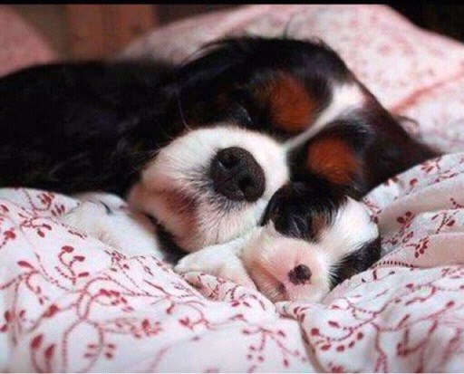 Joj, tata, pa ja sam zauzeti pesek, diži se, imam posla!