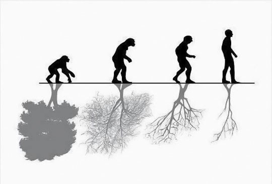 Otkad smo stali na dvije noge, gazimo sve oko sebe