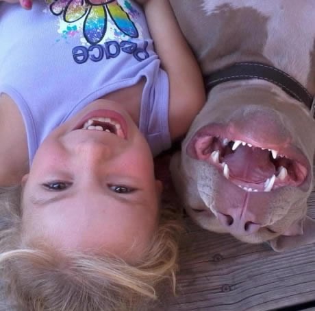 Pitbullovi su idealne dadilje za djecu