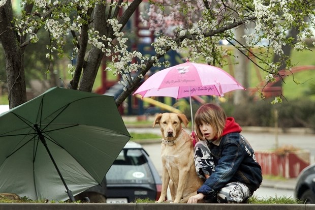 Pravi prijatelj podijeli kišobran s tobom