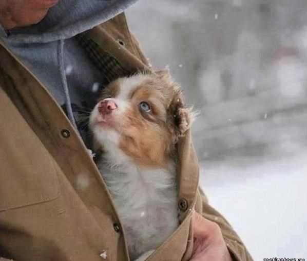 a pogled pun zahvale..:))