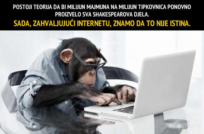 Internet: Izlog ljudske gluposti