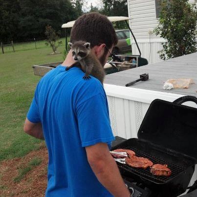 Nisu još došli, gazda, peci, sve je naše!