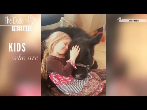 DJECA HEROJI: Dječica koja njeguju ozlijeđene životinje potpuno će vas raznježiti