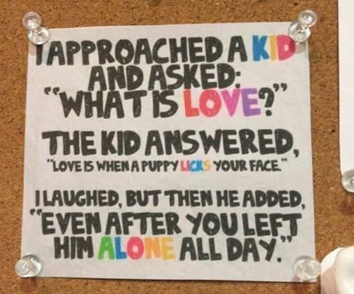 Dijete poznaje ljubav kako ni pjesnici ne mogu