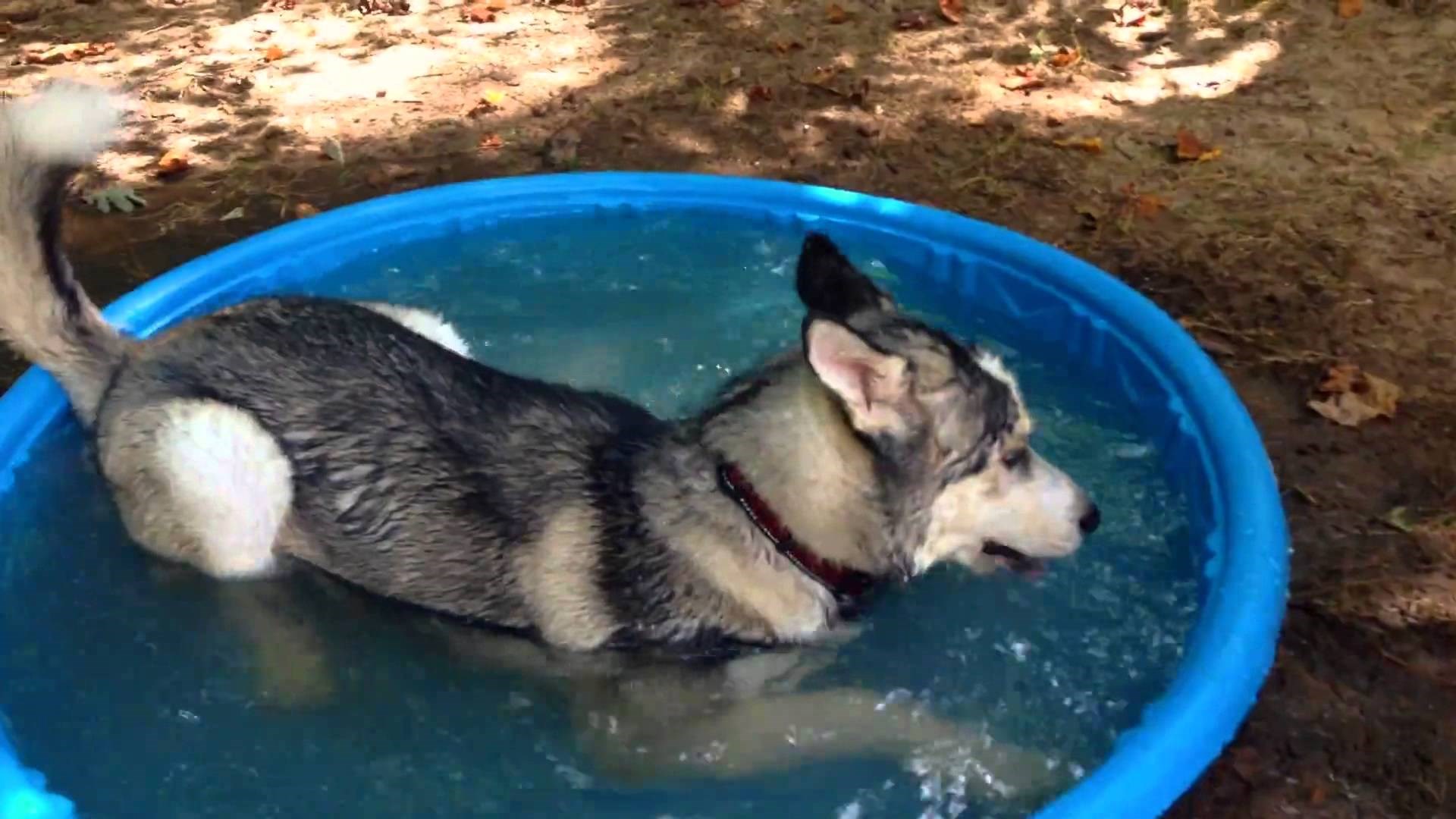 VIDEO: Malo vode i sreći nikad kraja