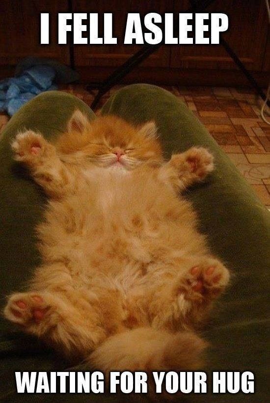 Zaspala čekajući zagrljaj