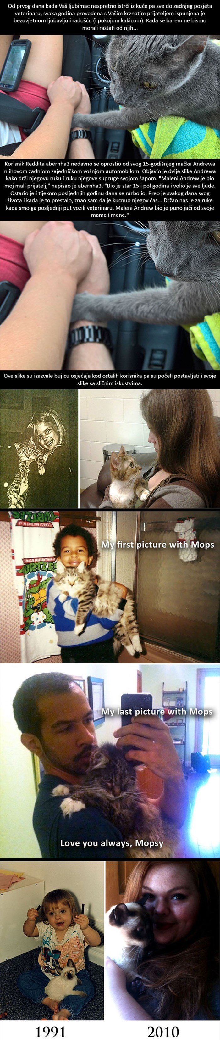 Srceparajuće slike: Mačka šapom drži vlasnikovu ruku na njihovom posljednjem odlasku veterinaru
