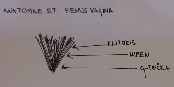 Kako Rvat vidi "onu stvar"