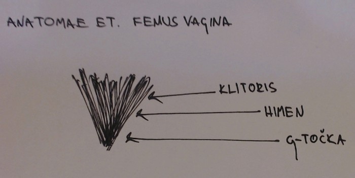 Kako Rvat vidi "onu stvar"