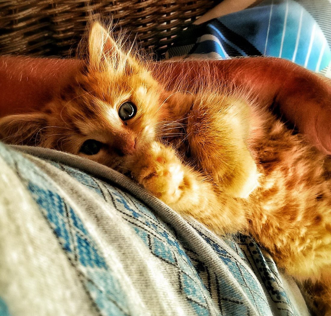 Zar je već jutro? Ma nijeeee, ajmo još spavati..