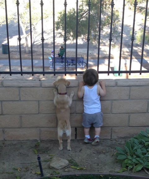 Dva znatiželjna prijatelja u špijunskoj misiji