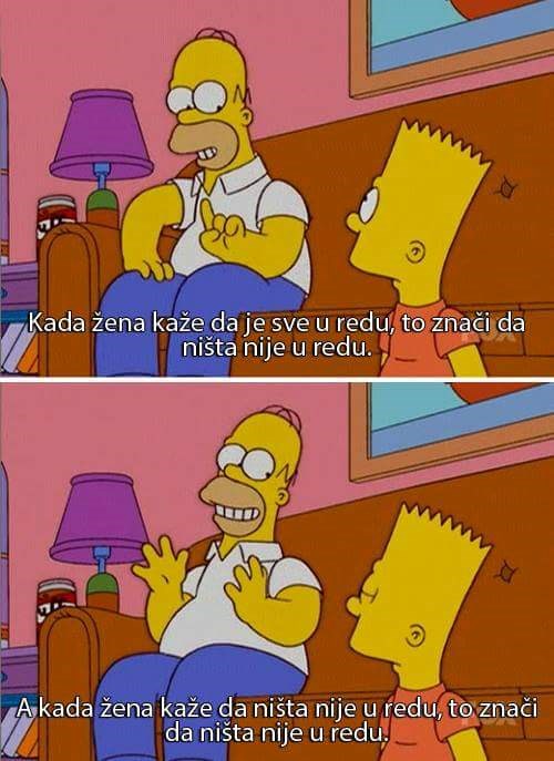 Mudrost Homera Simpsona ne poznaje granice