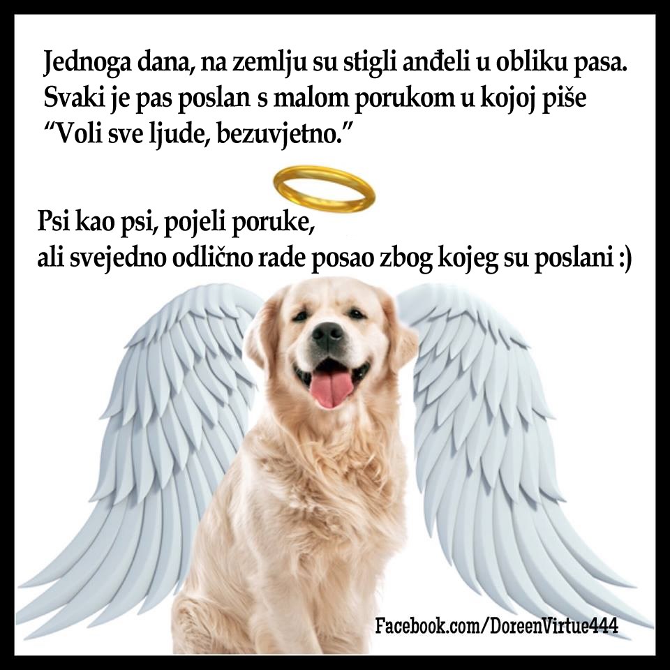 Poslušaj poruku koji ti predaje pas