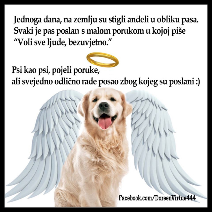 Poslušaj poruku koji ti predaje pas