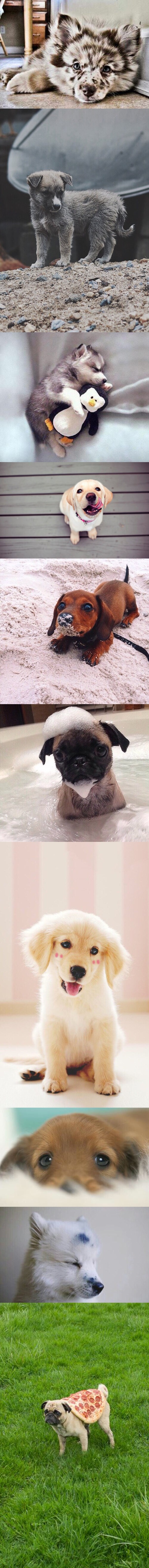 jednu žlicu ljepote, žličicu razuma, prstohvat šećera i punu kantu ljubavi..voila