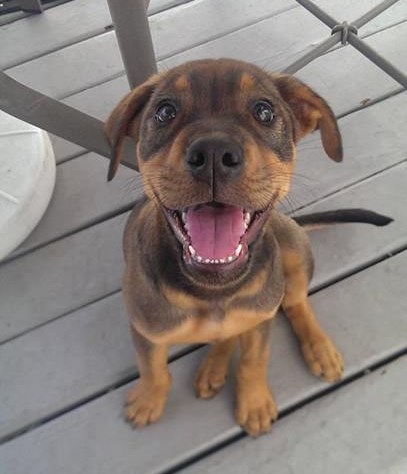 Osmijeh koji te osvoji u prvoj sekundi