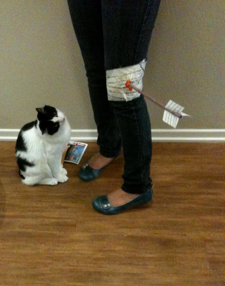 Gazdarice, ako me oči dobro služe, nešto ti je zapelo u nozi