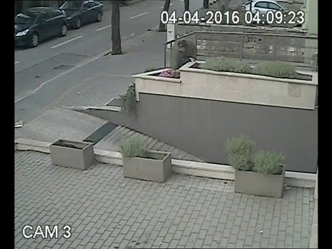 VIDEO: Bestidna gospođa u krađi!