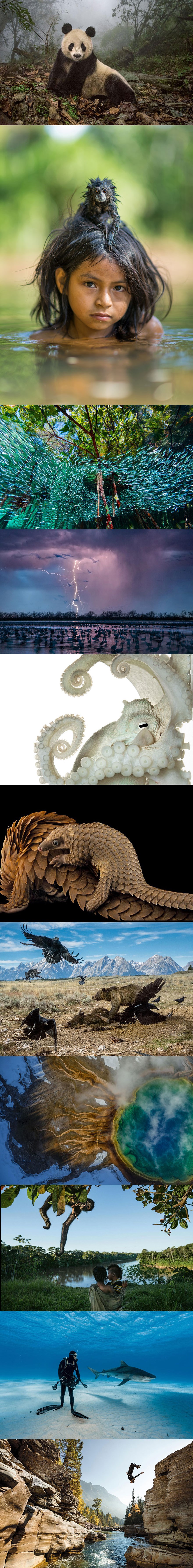 Najbolje ovogodišnje fotografije odabrane od strane National Geographica - jednostavno ih morate vidjeti