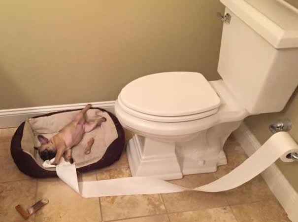 Sad se ti ljuti na njega!