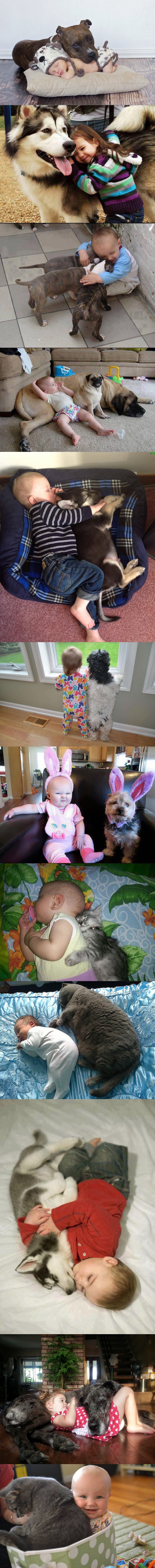 Fotografije koje dokazuju da svako dijete treba ljubimca, ali i svaki ljubimac svog malenog vlasnika