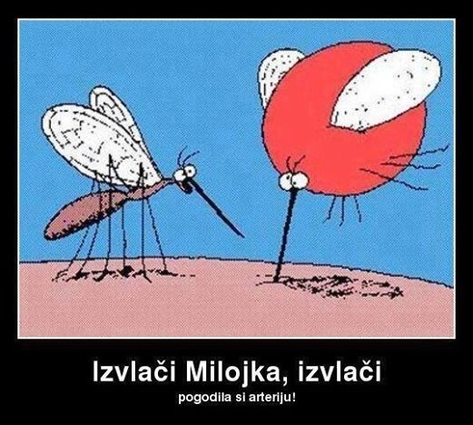 E, da ekplodiraš kad si mi se krvi napila!