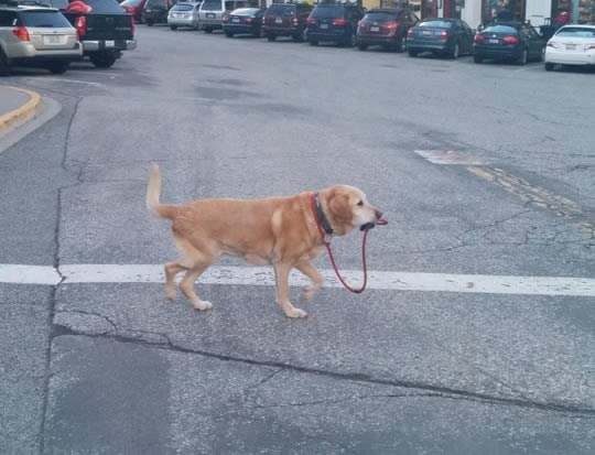 Samosvjesna i jaka ženka, što će njoj muškarac, pf!