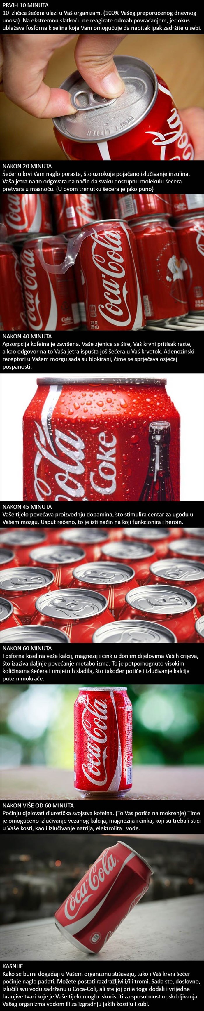 Stručnjak je otkrio: Evo što se događa u vašem tijelu nakon što popijete limenku Coca Cole!
