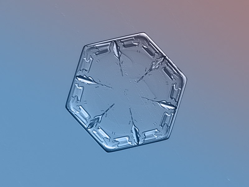 Priroda je najbolji arhitekt: Pahuljica u punom sjaju