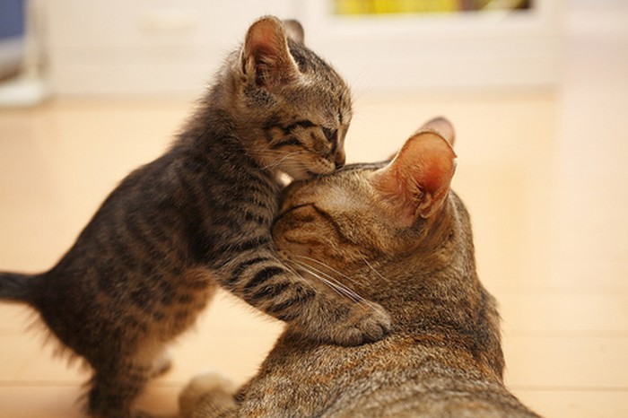 Tata, ti mene uvijek čuvaš, evo ti pusa!