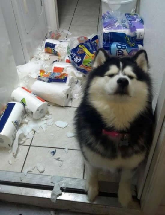 M-m, nisam ja.. nemam pojma, duhovi!