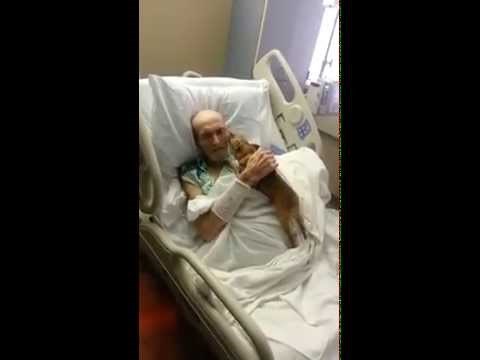 VIDEO: Bolnica zaobišla pravila i umirućem čovjeku ispunila posljednju želju - da vidi svog psića