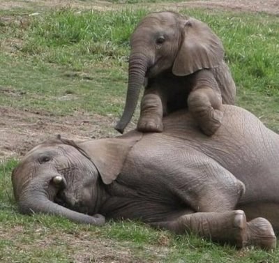 Daj sine malo odmori, pa nije tata na speedu da te prati!