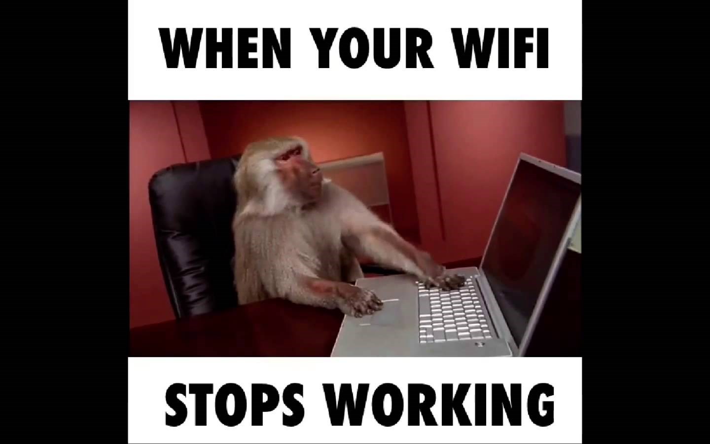 VIDEO: Kad ti krepa internet i krene živčani slom