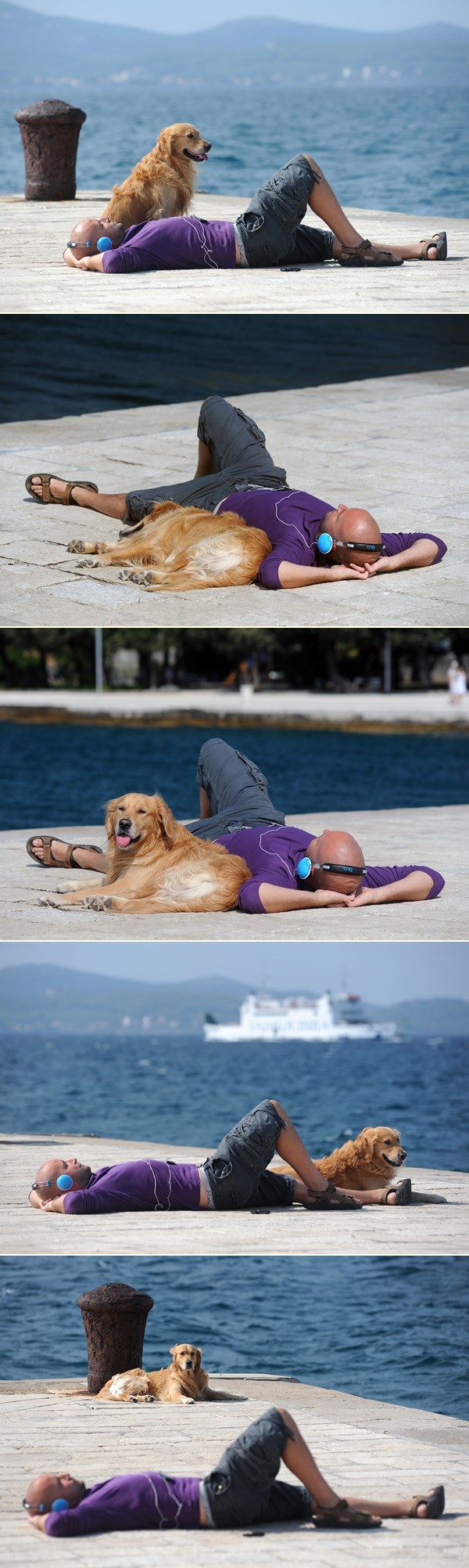 Zlatni retriver i njegov gazda uživaju na suncu na rivi
