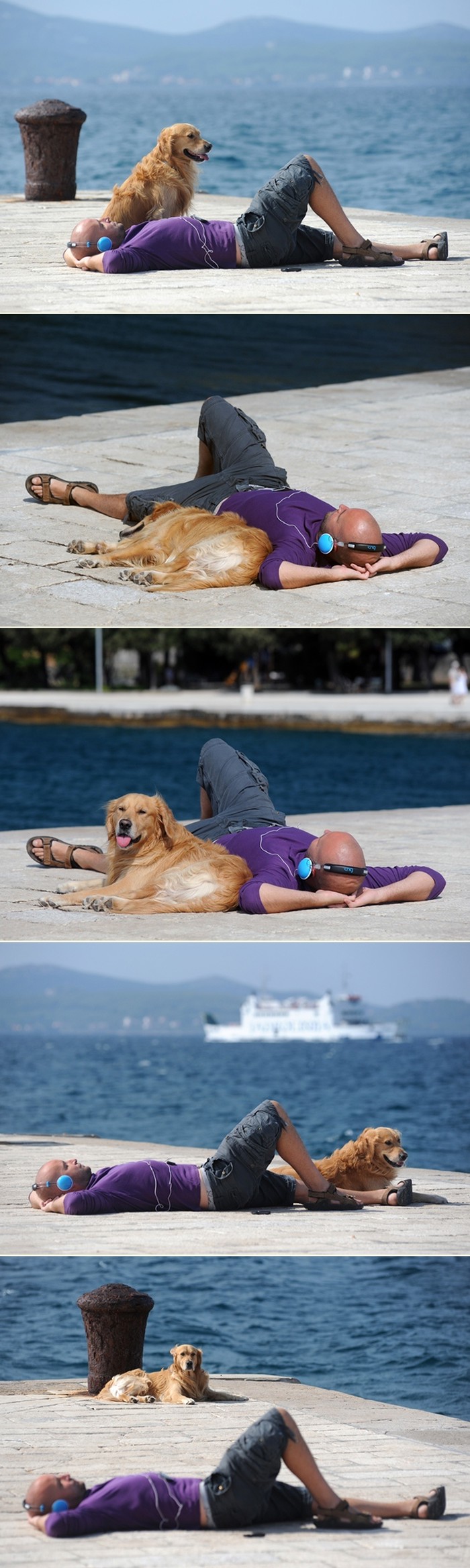 Zlatni retriver i njegov gazda uživaju na suncu na rivi