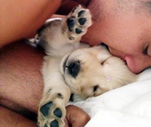 Mala "pesekica" i njen najdraži gazda