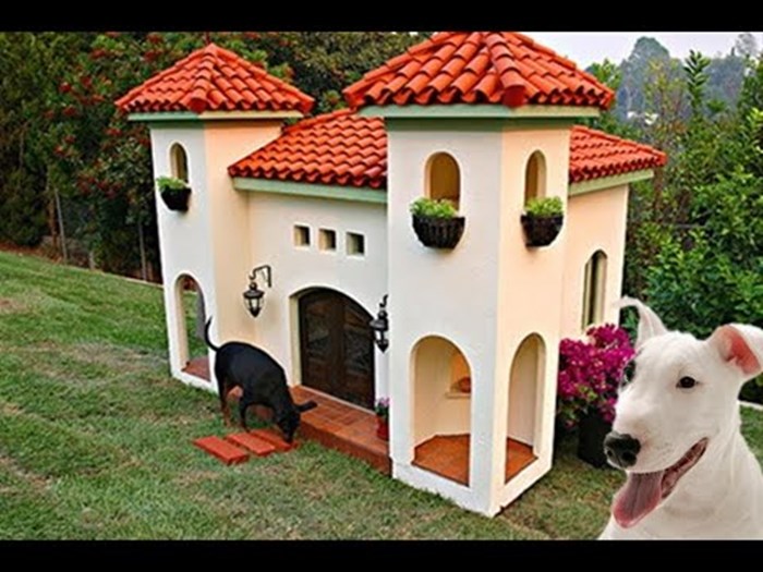 VIDEO Ovo su najluksuznije kuće za pse, nećete vjerovati koliko košta najskuplja od njih!