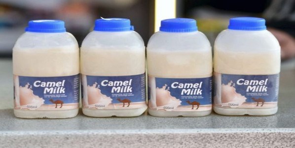 U Nizozemskoj piju devino mlijeko