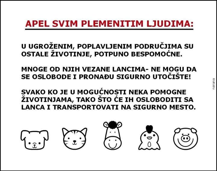 Poplava: Pustite životinje s lanca, dajte im šansu