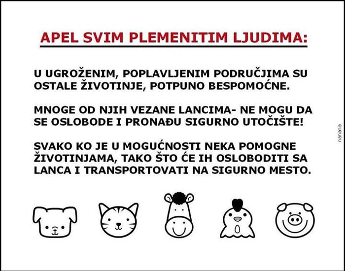 Poplava: Pustite životinje s lanca, dajte im šansu