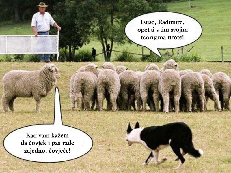 Kad narodu baciš fontanu na oči