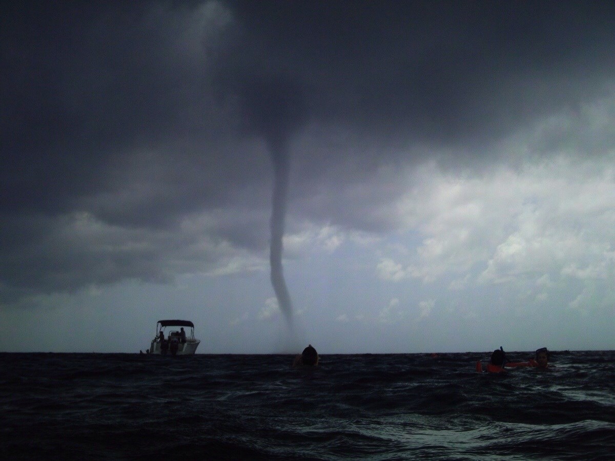 Kad se ne otvorenom moru susretneš s pijavicom