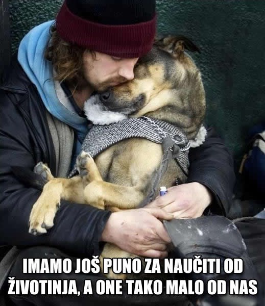 Imamo još puno za naučiti od životinja