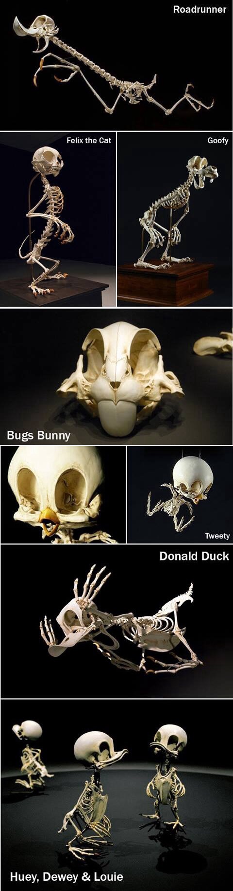 Galerija: Prepoznaj crtane junake u "skeletor" obliku